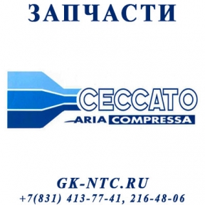 Компрессор CECCATO деталировка винтовых компрессоров - фото - 1